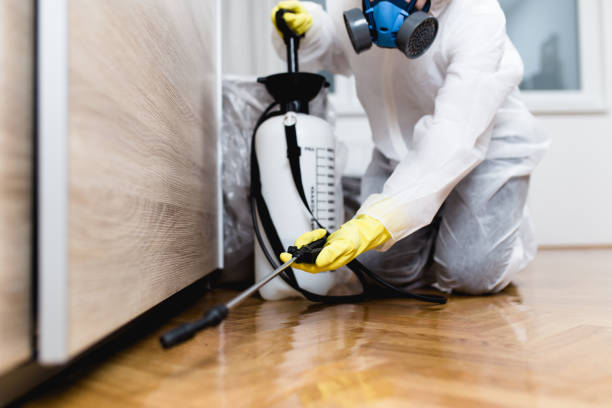Best Affordable Pest Control Services  in Sutter Creek, CA
