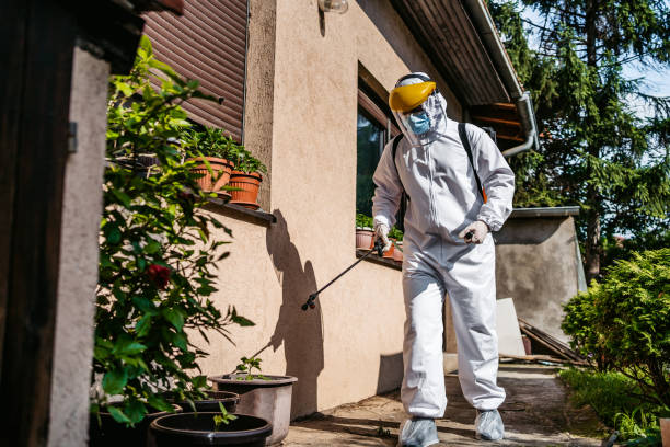Best Local Pest Control Services  in Sutter Creek, CA