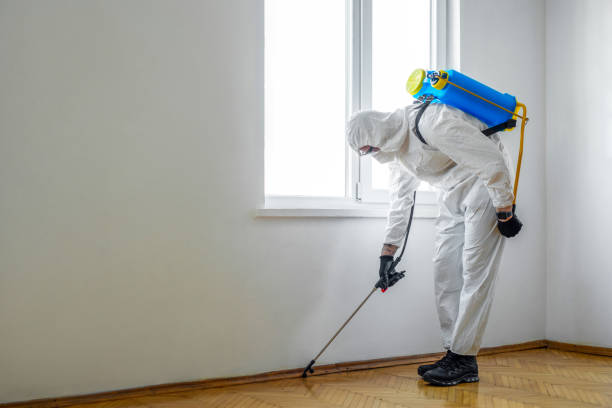 Professional Pest Control in Sutter Creek, CA